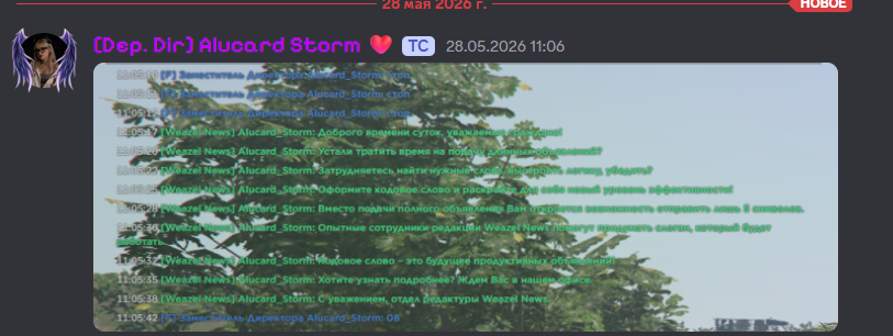 Вцсфвы